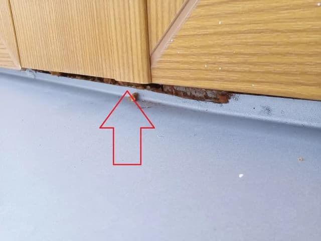Ile czasu ma deweloper na usunięcie usterki? Sprawdź swoje prawa Ile czasu ma deweloper na usunięcie usterki? Sprawdź swoje prawa