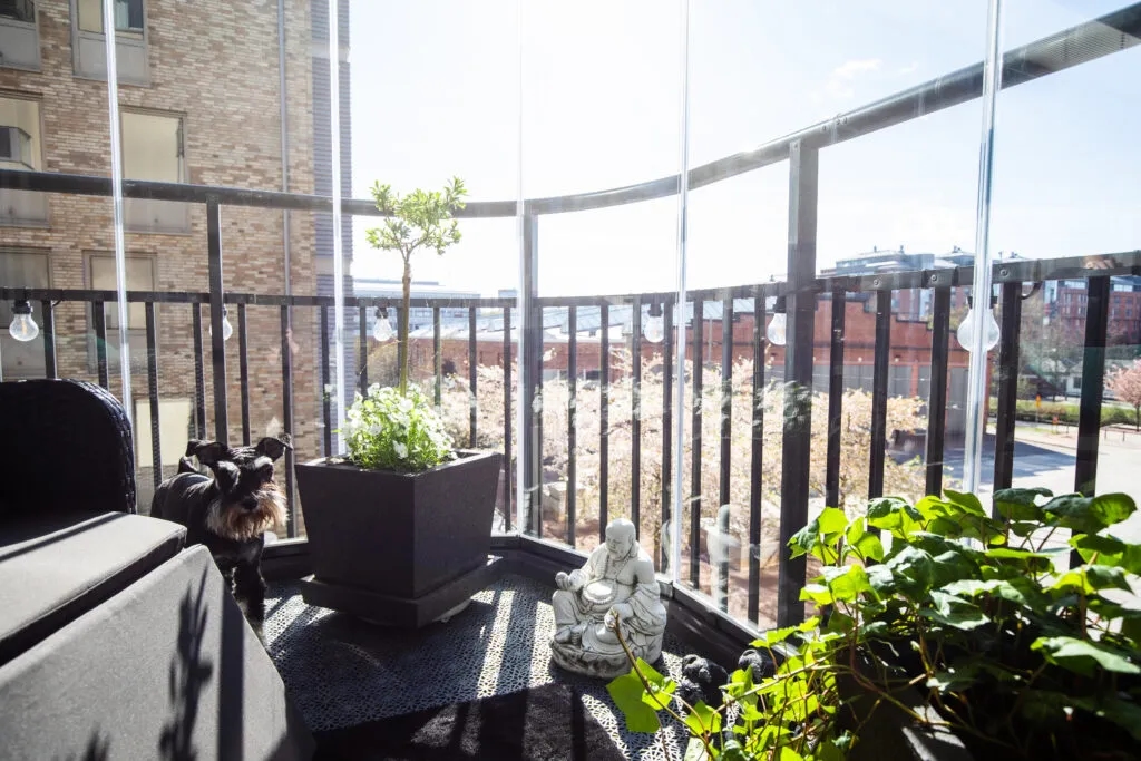 Jak urządzić balkon w bloku, aby stał się przytulnym miejscem? Jak urządzić balkon w bloku, aby stał się przytulnym miejscem?